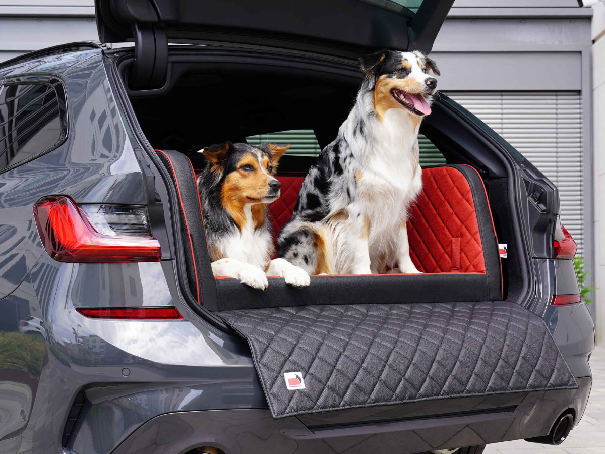 Hund im Kofferraum transportieren - EQA Interieur - Mercedes EQA Forum
